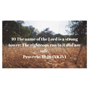 Proverbs 18_10