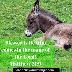 Blessed is He who comes in the name of the Lord! Palm Sunday 2016
