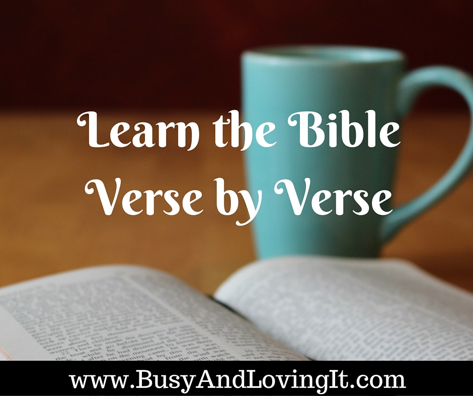 Learn the Bible verse by verse. Great for your home, car, or office.