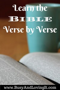 Learn the Bible verse by verse. Great for your home, car, or office.