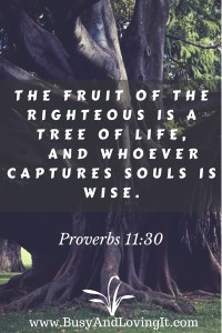 Proverbs 11:30 - The tree of life