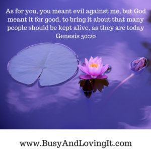 What you meant for evil, God meant for good. No one was stopping God's plans