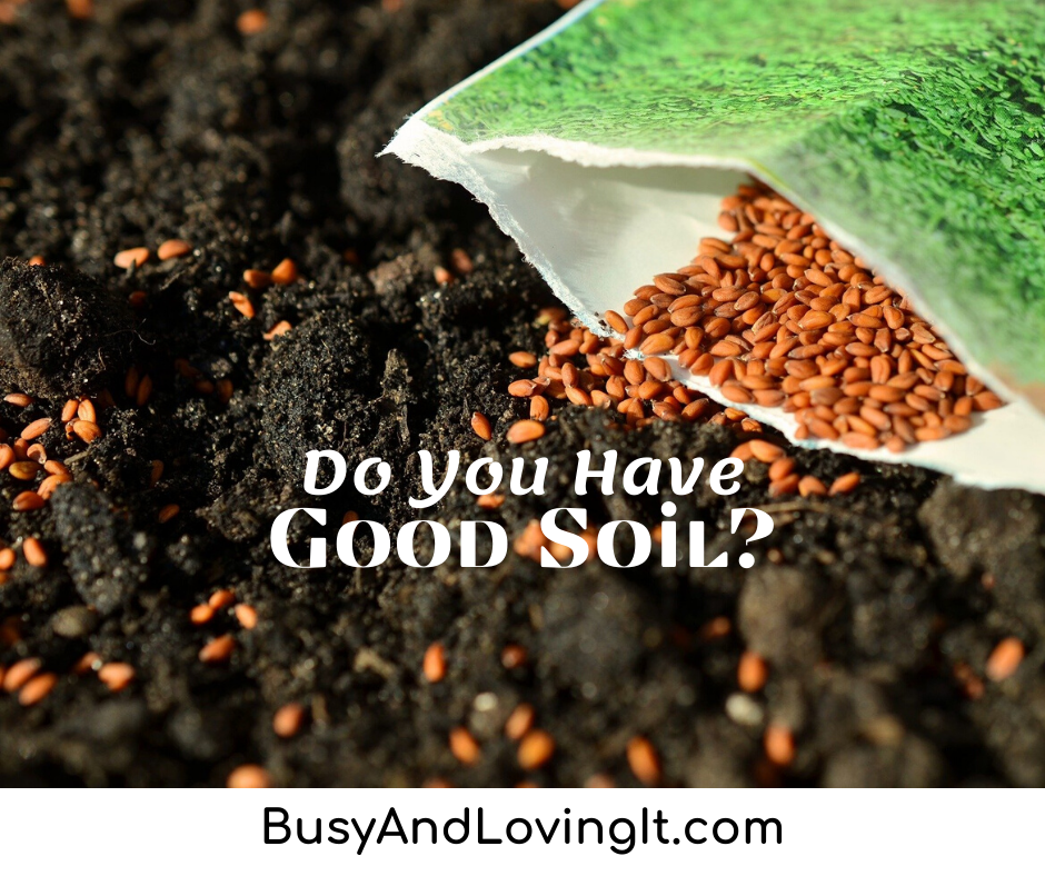 Like seed sown on good soil, hear the word, accept it, and produce a crop.