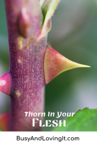 Understanding the thorn in your flesh.