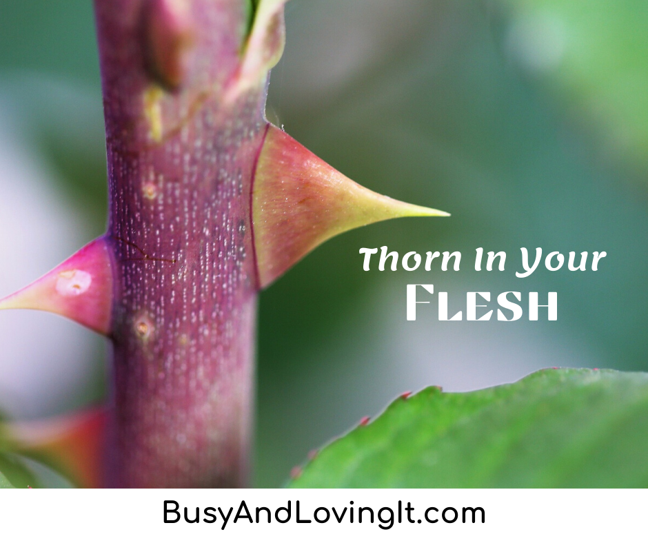 Understanding the thorn in your flesh.