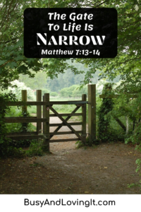 The gate to life is narrow